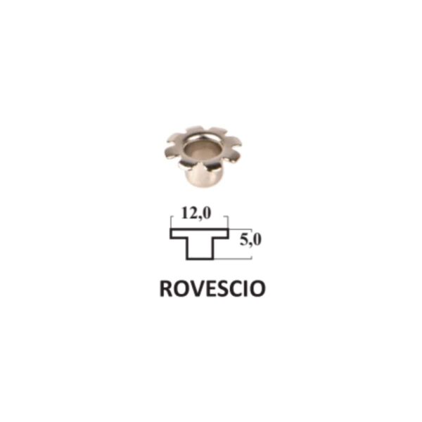 Occhielli_vari_ROVESCIO